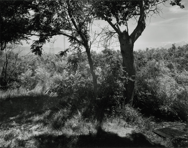 Owens Valley, California, 2006-- CfEVA #5