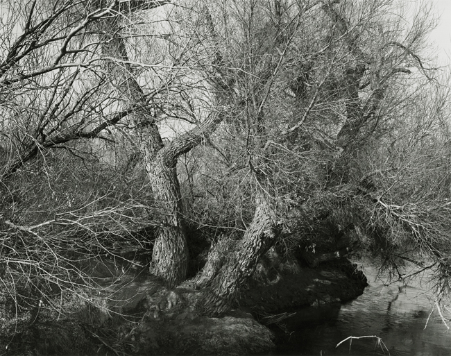 Owens Valley, California, 2007