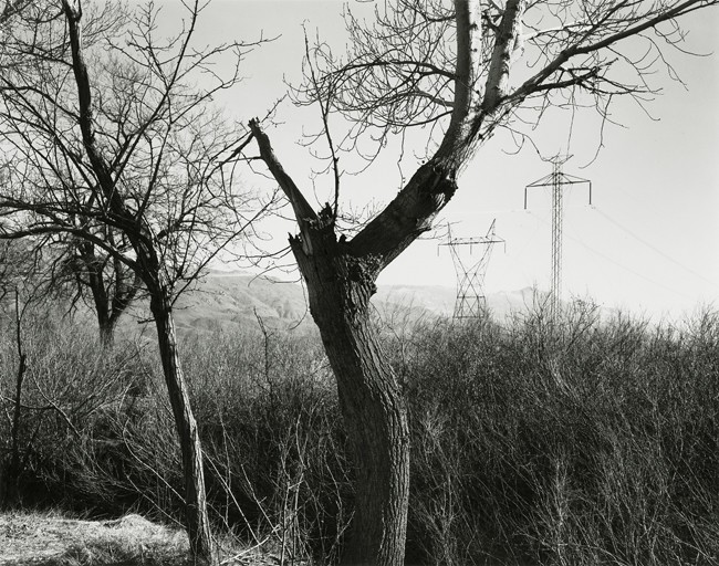 Owens Valley, California 2007