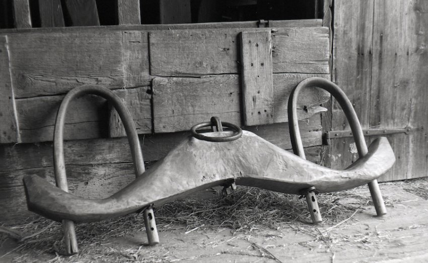 Ox Yoke