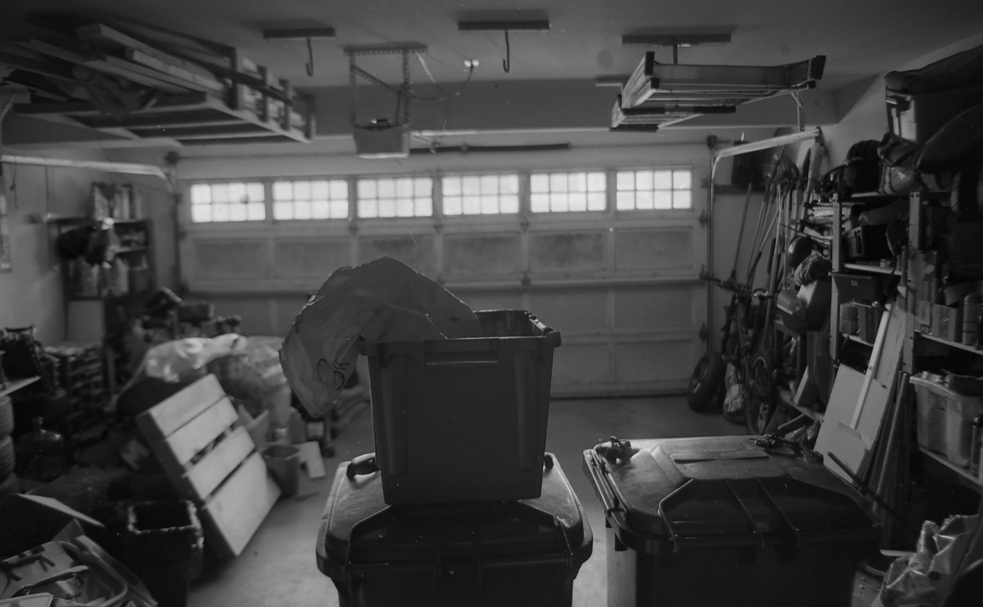 P33 & XTol (straight)