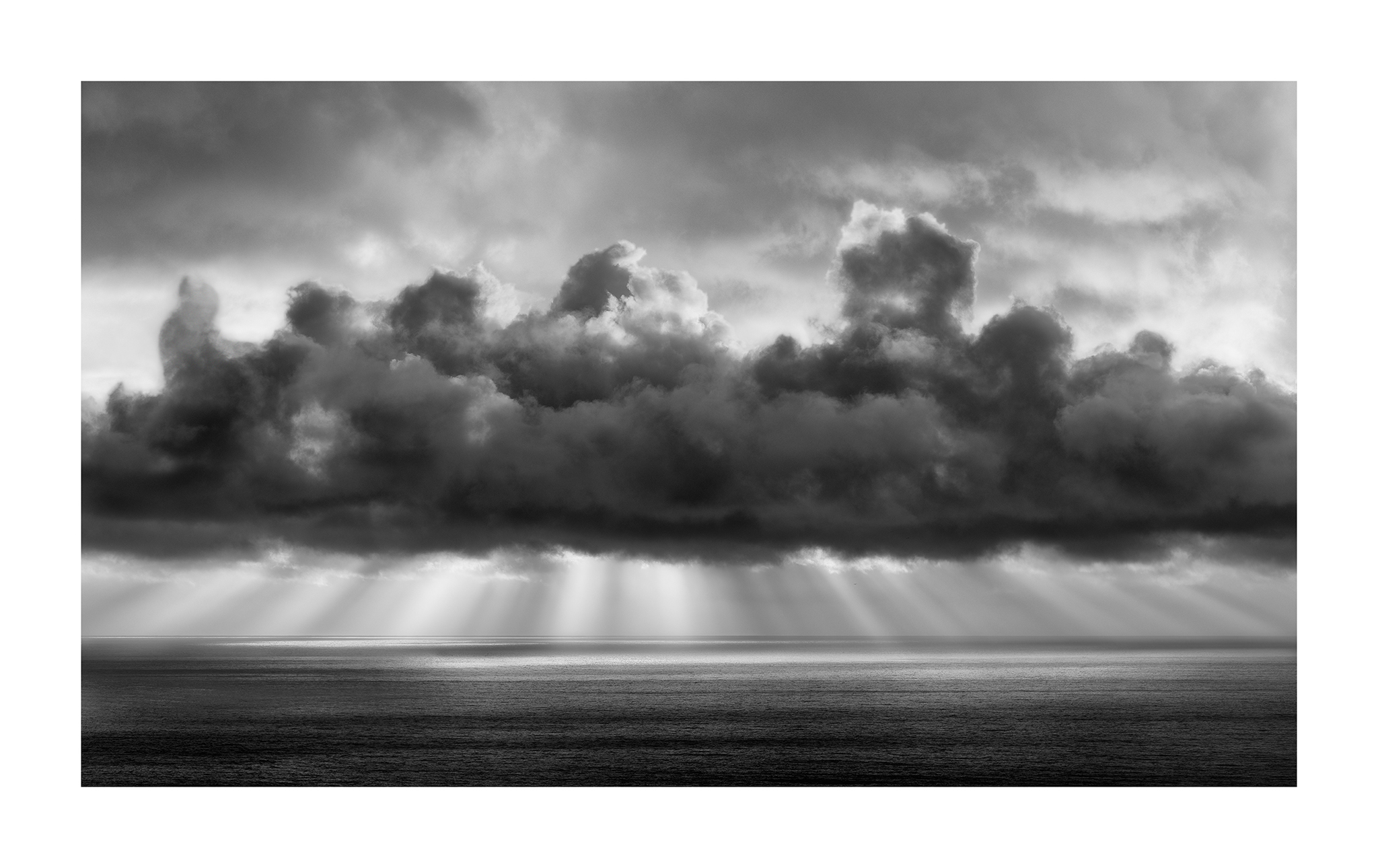 Pacifica #63