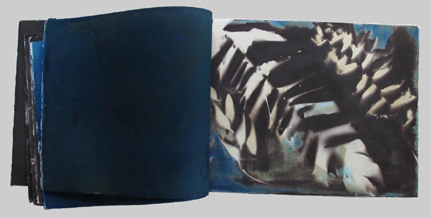 Page from "Disappearing Rain Forest"