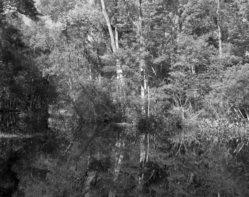 Pages Dairy Rd