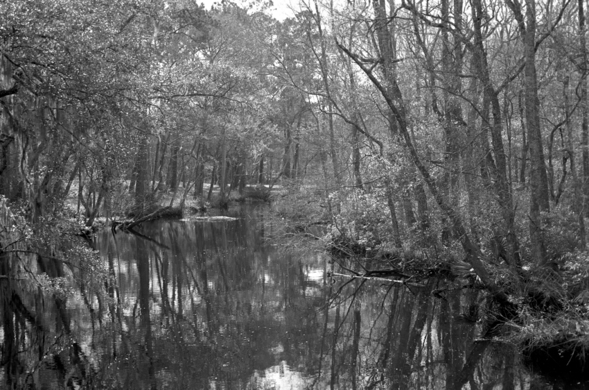 Pages Dairy Road
