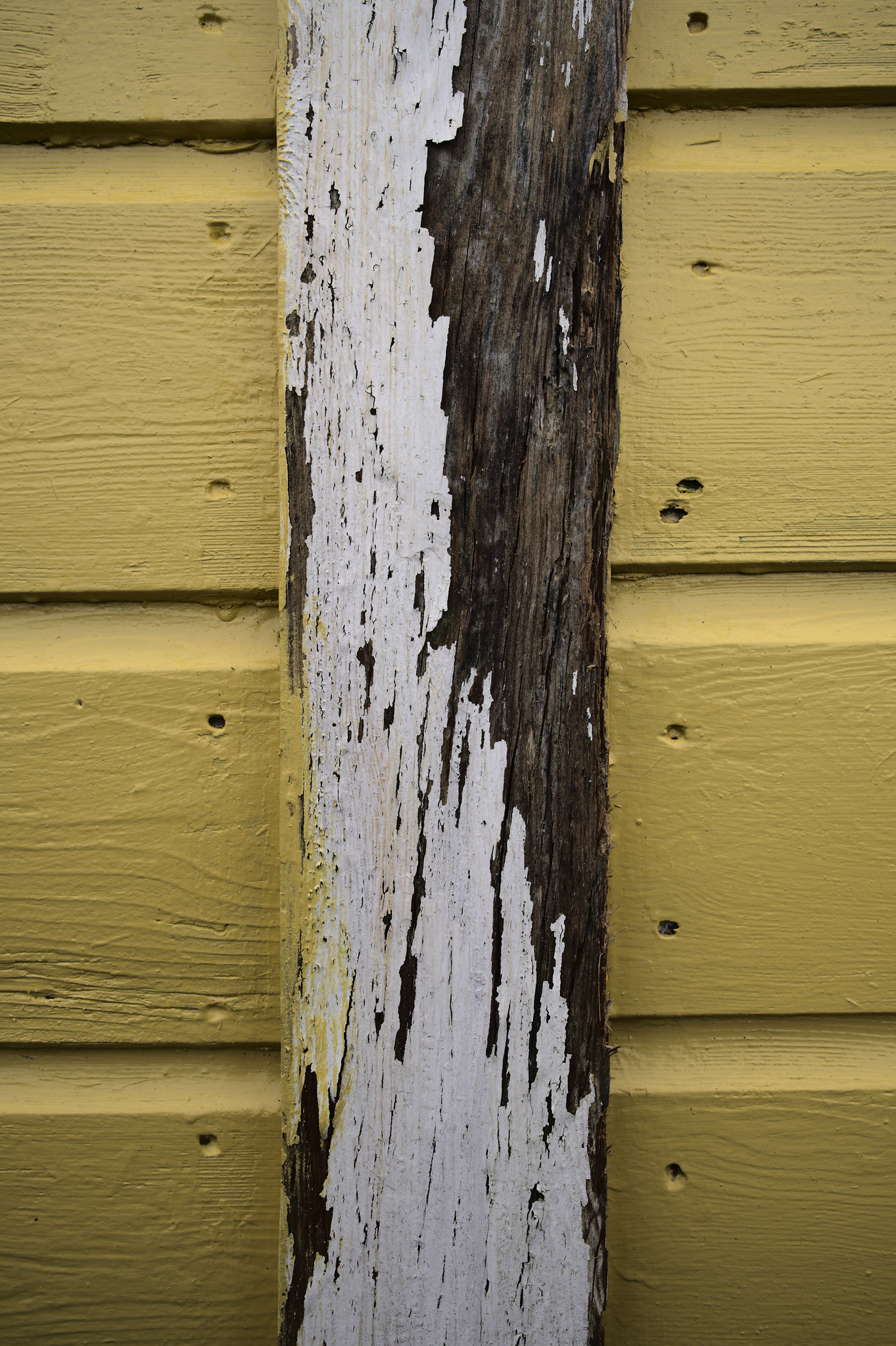 Painted wood textures