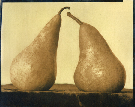 Pair Of Pears