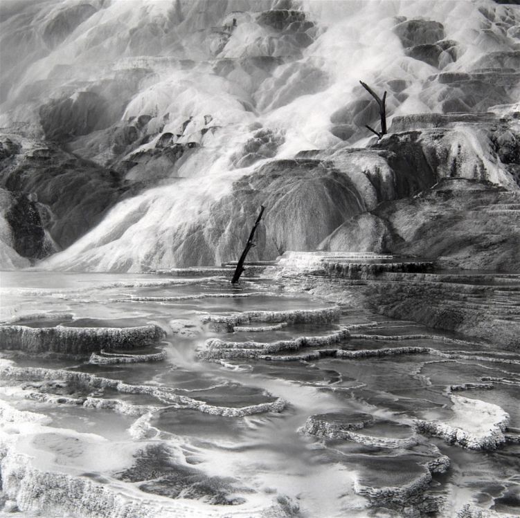 Palette Spring