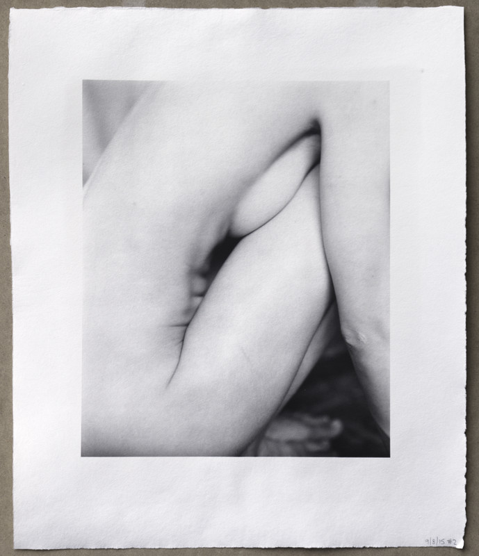 Palladiotype from an 11x14 negative