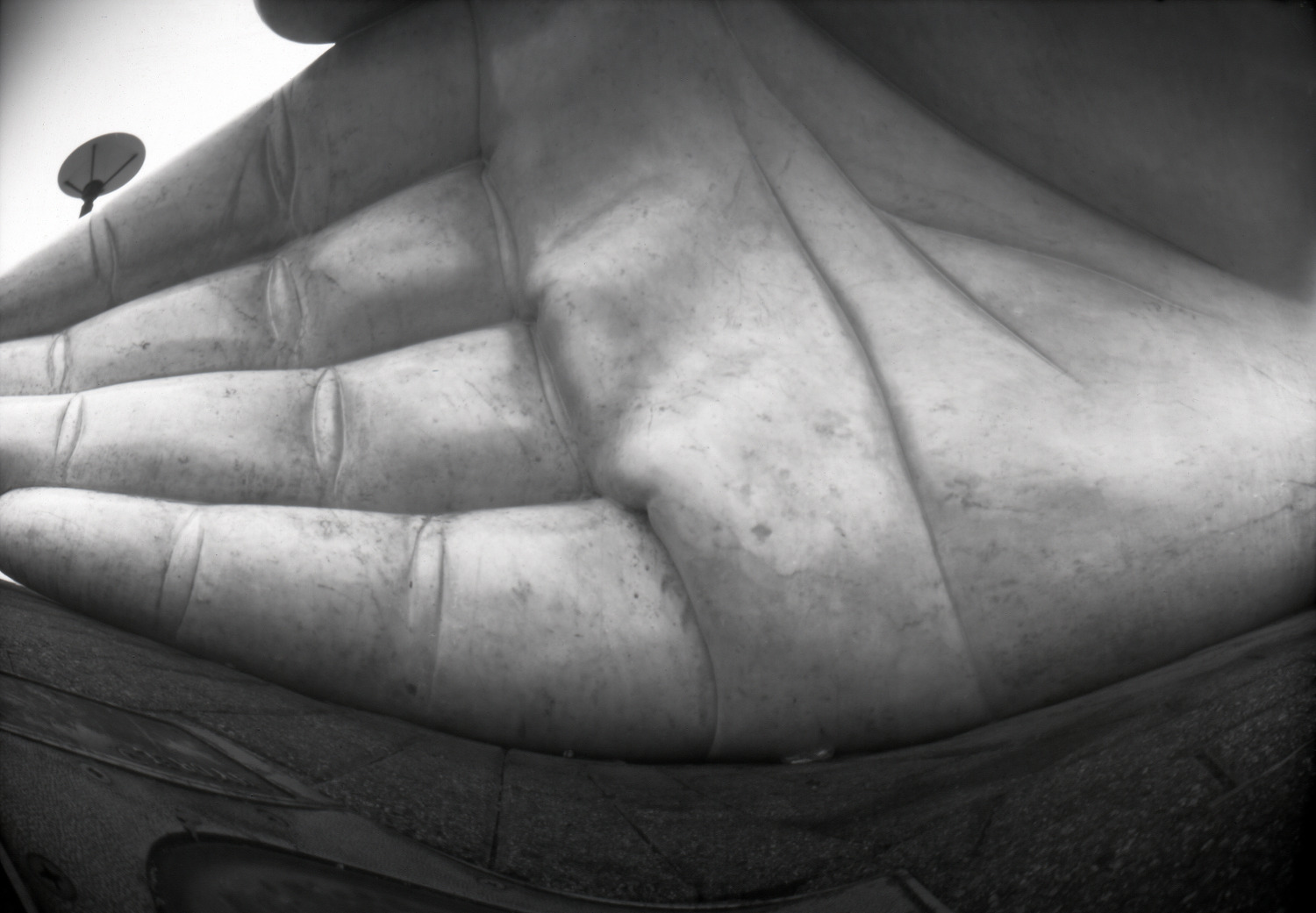 Palm of Your Hand