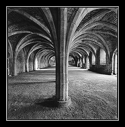 "Palm Tree", Cellarium
