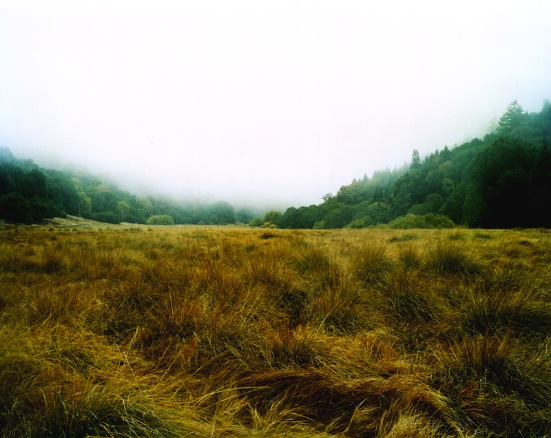 Palomar Mist
