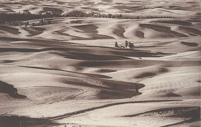 Palouse #1 VDB