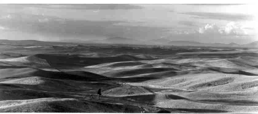 Palouse 25