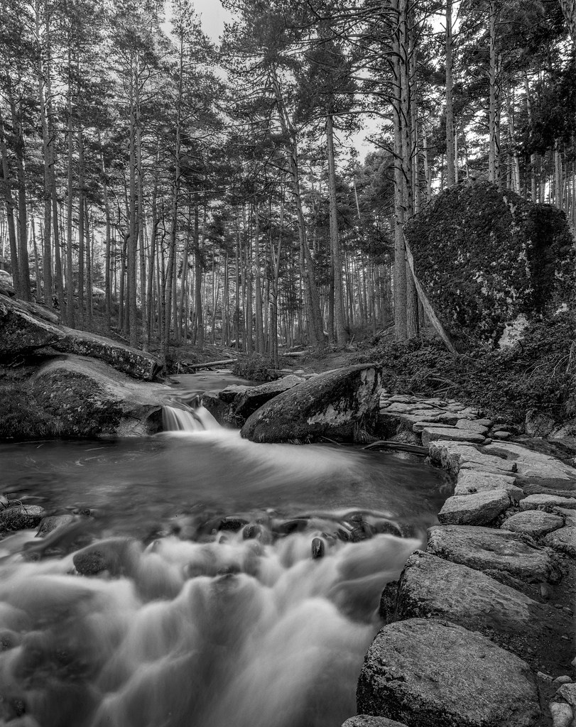Pamplinas creek 1