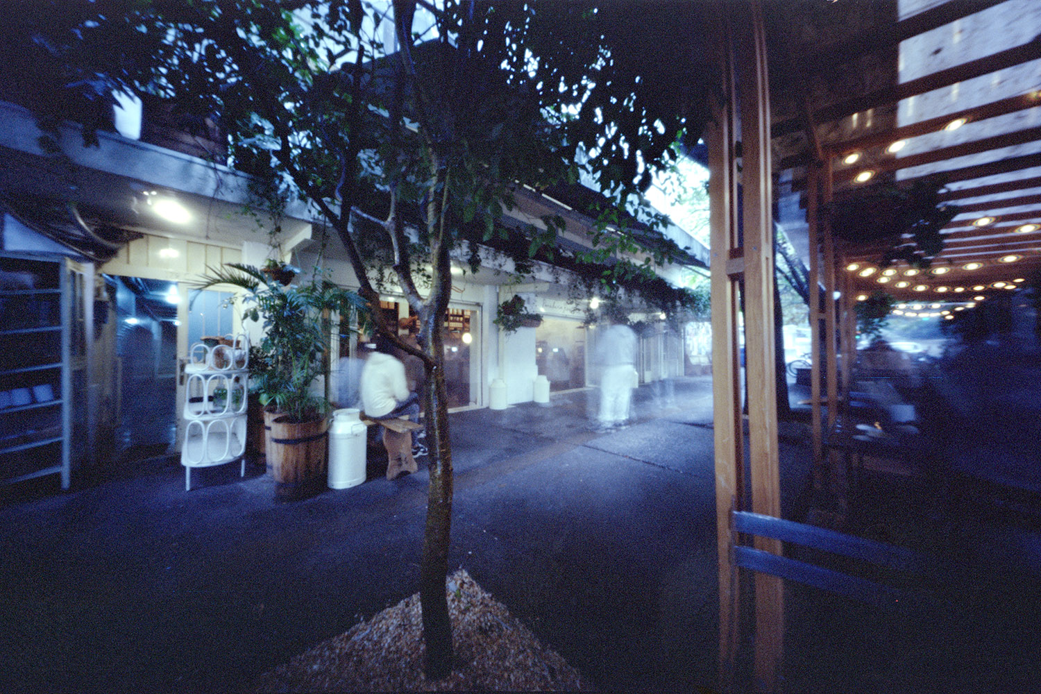 Panaderia Rosetta