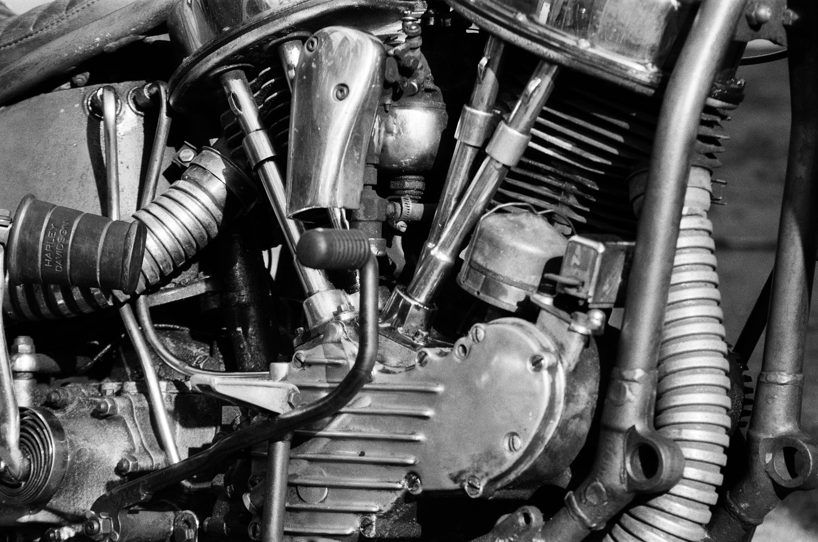 Panhead
