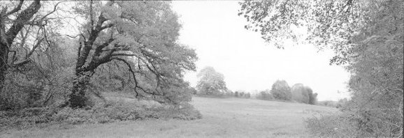 Pano_1