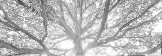 Pano_2