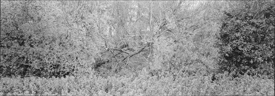 Pano_3
