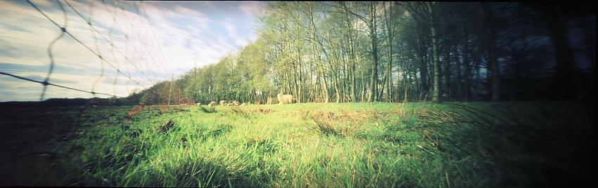 Panorama pinhole image #2 for MSA - transport theme