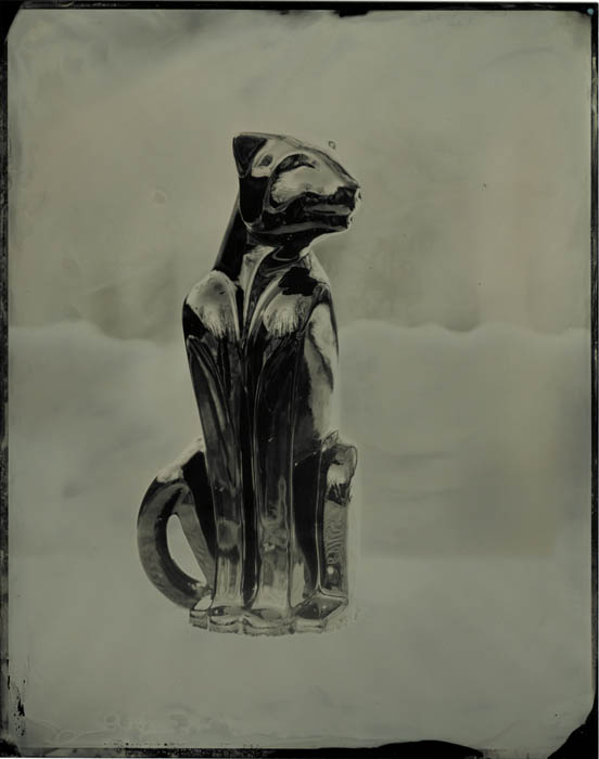 Panther