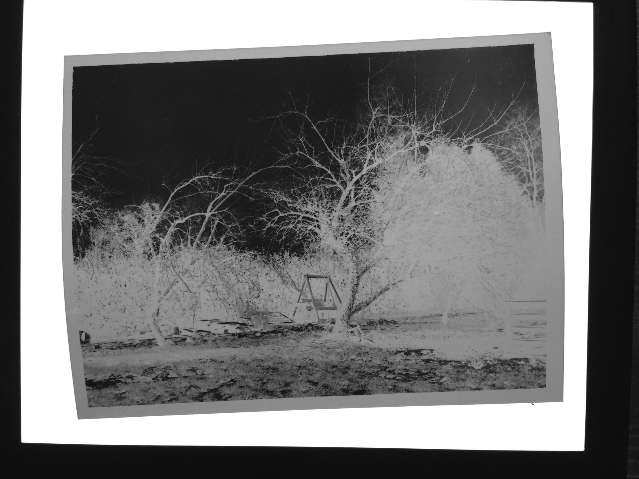Paper neg test