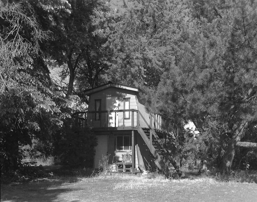 Paper Negative Test