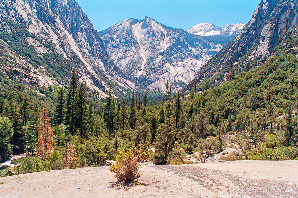 Paradise Valley