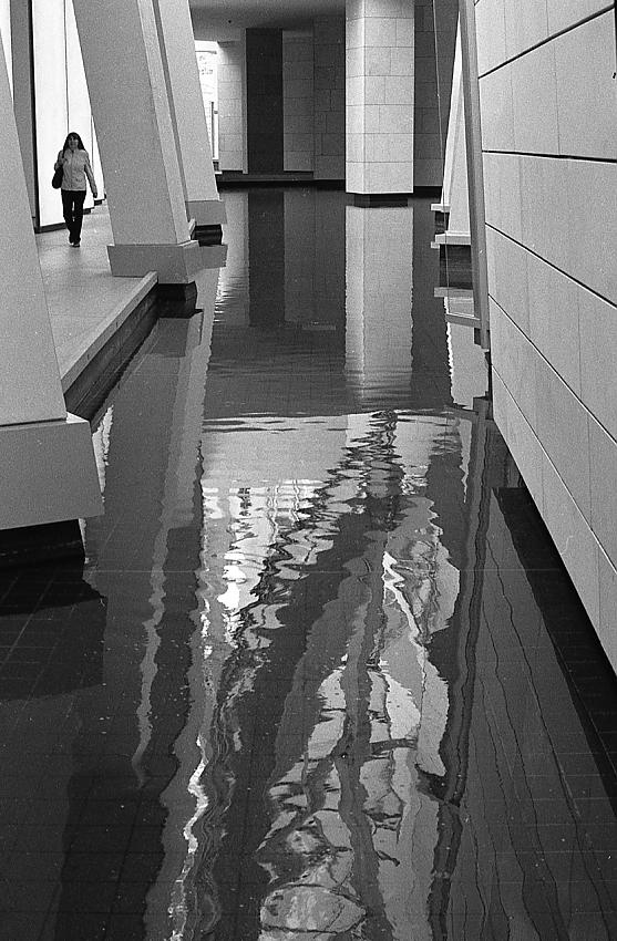 Paris, Fondation Luis Vuitton
