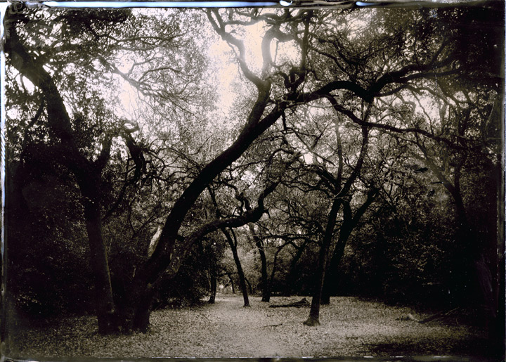 Park...again