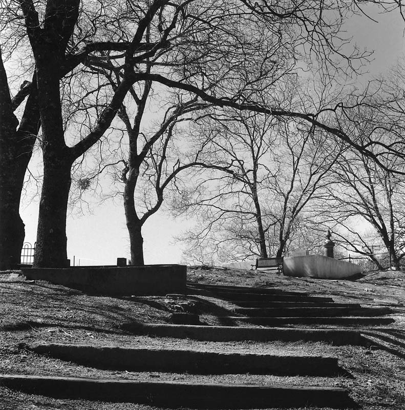 Park Bench