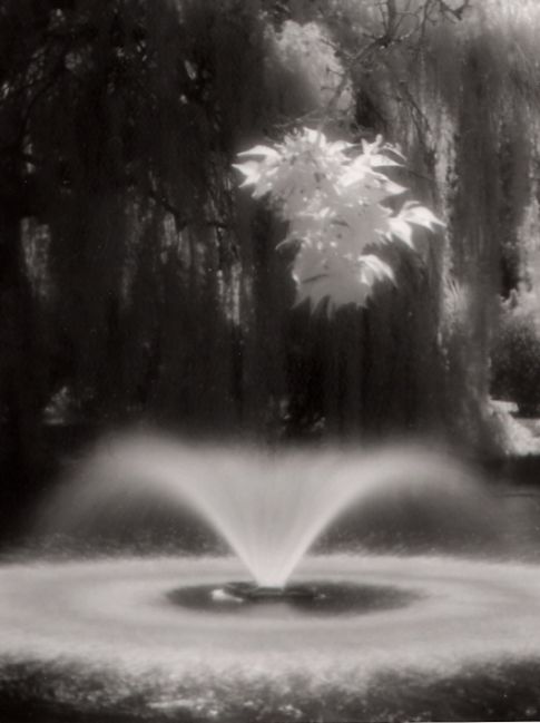 Park fountain