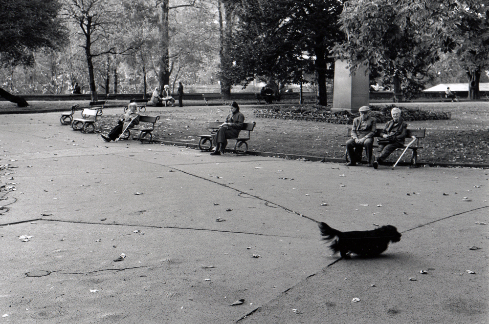 Park in Prague