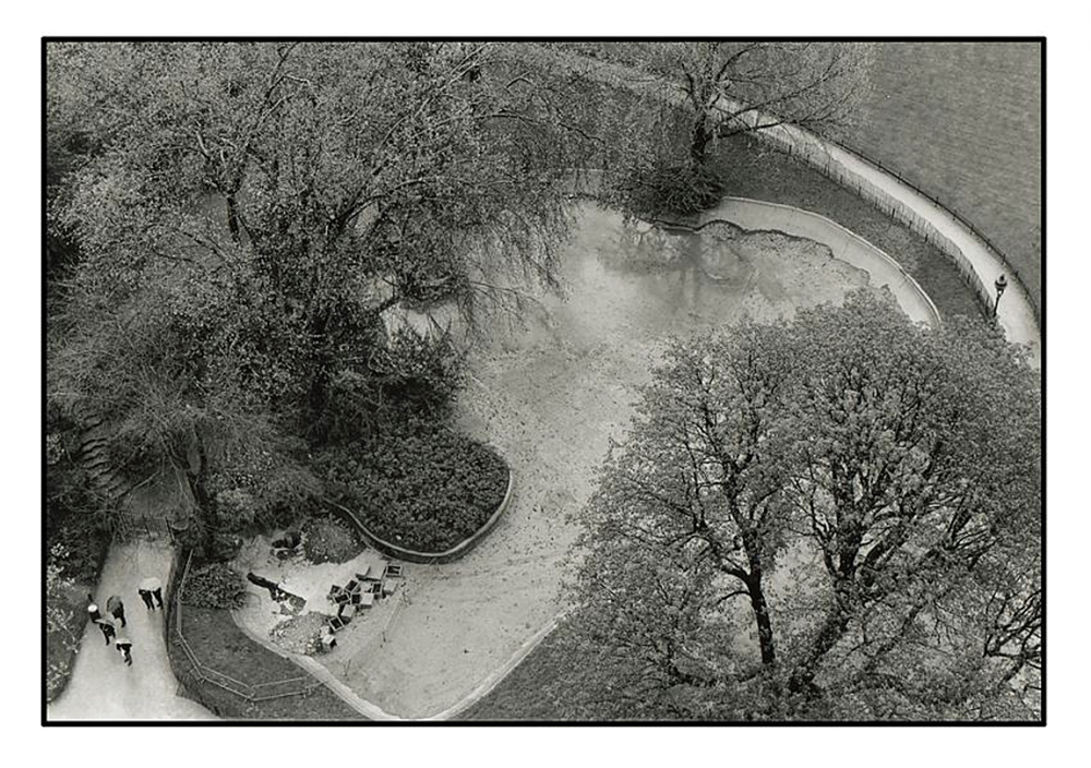 Park in the rain