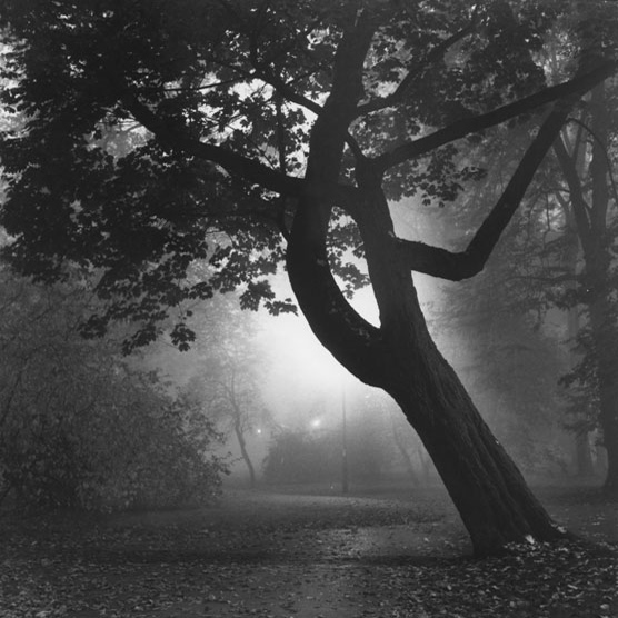 Park Krakowski Autumn