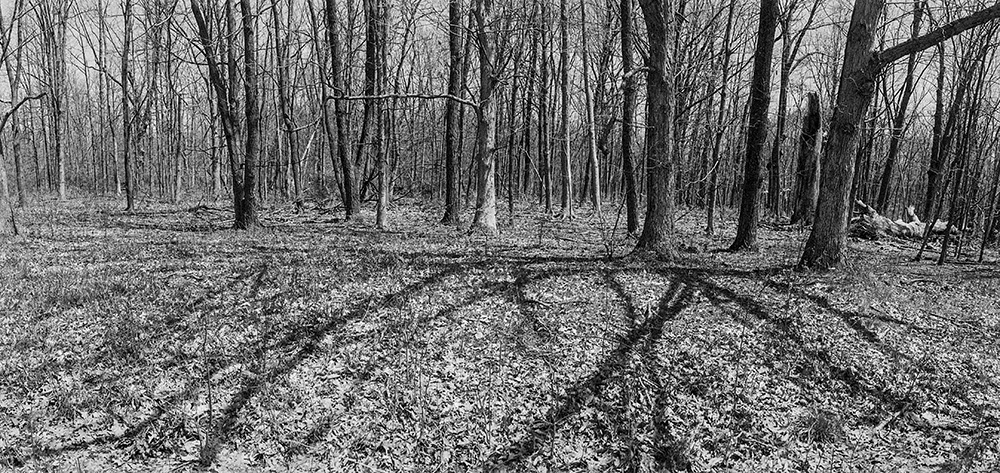 Park Pano 1