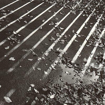 Parking Lot - Little Things