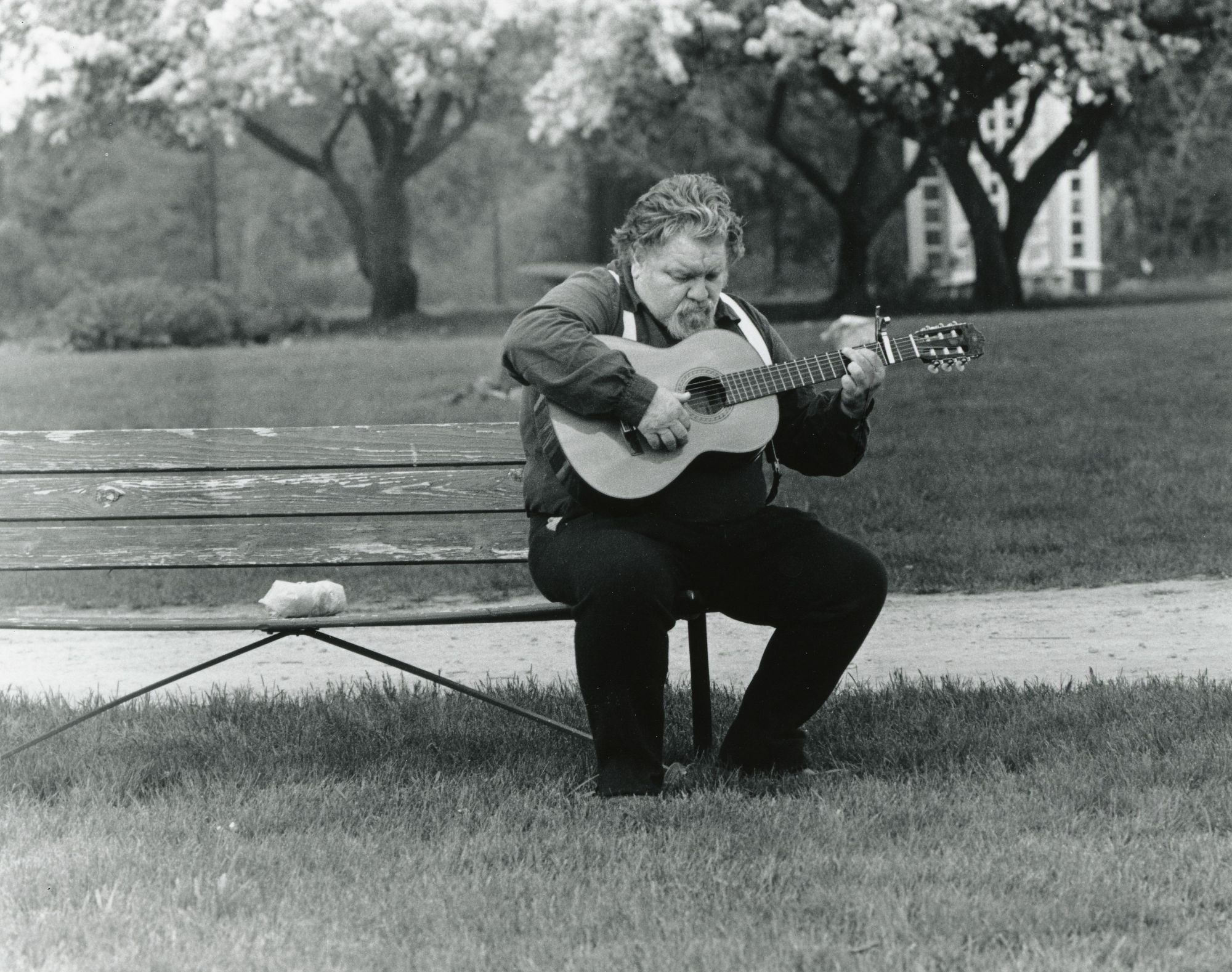 Past Guitar-2