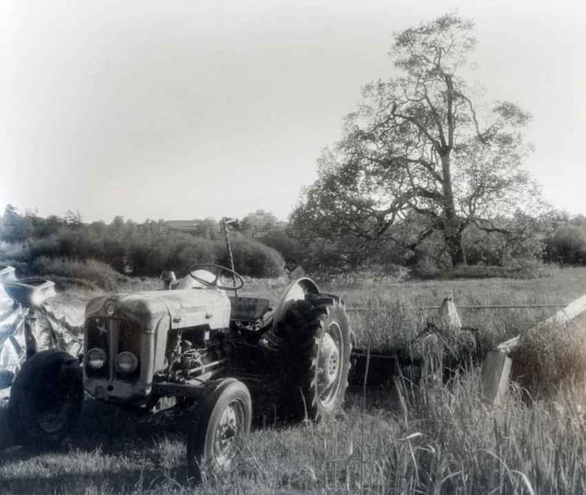 Pastoral
