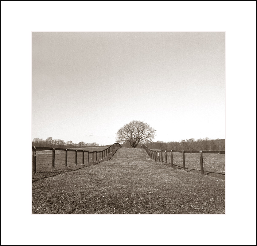 Pasture