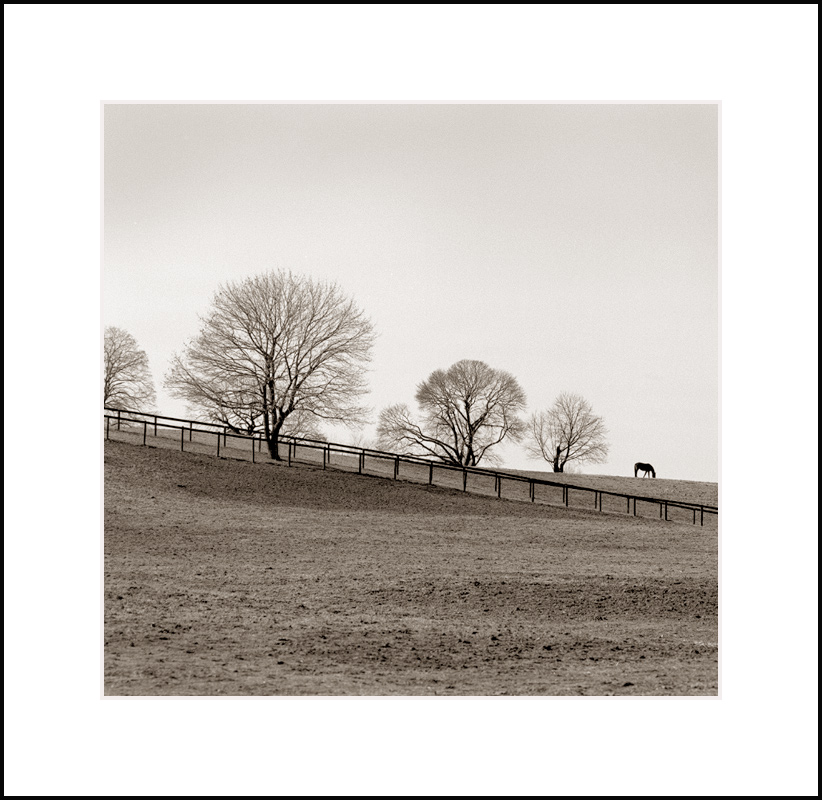 Pasture