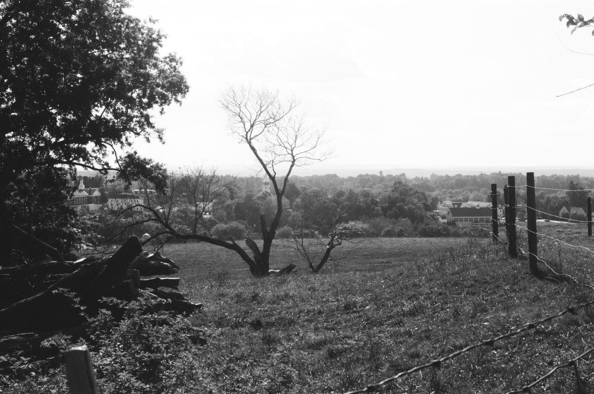 Pasture