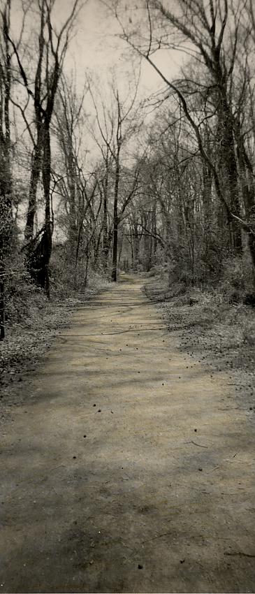 Path- hand colored holga pano