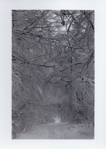 Path in snow