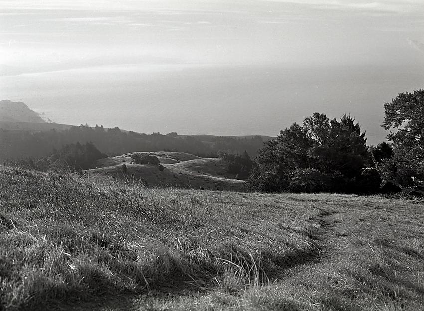 Path on Mt. Tam overlooking Pacific