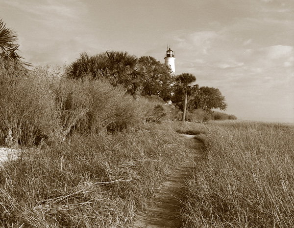 Path To St Marks  Lighthouse