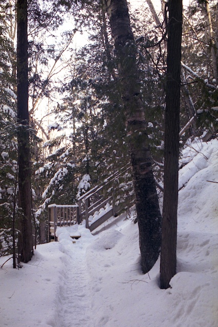 Path to the Steps
