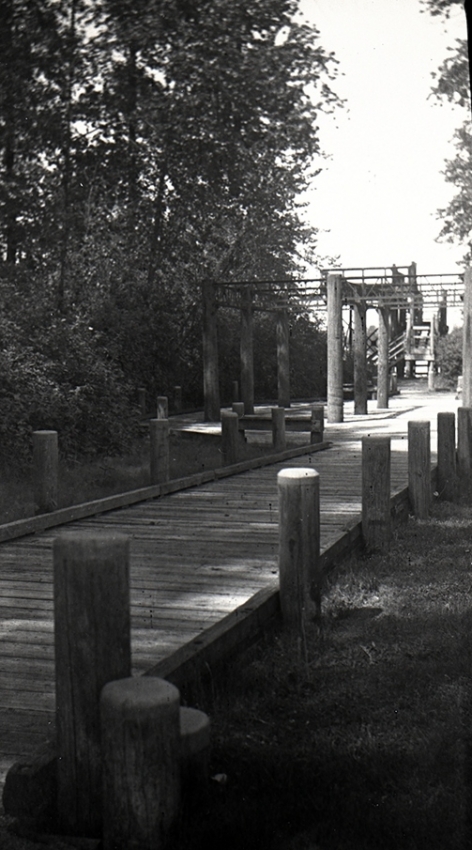 Path to the Viewing Tower