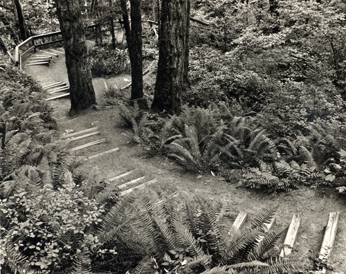 Path to Upper Falls